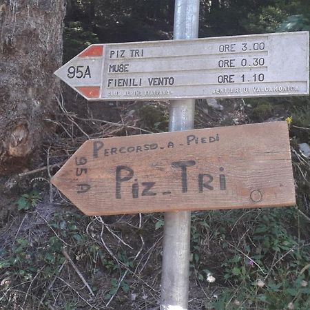 Casa Vacanza Pineta Malonno Exteriör bild