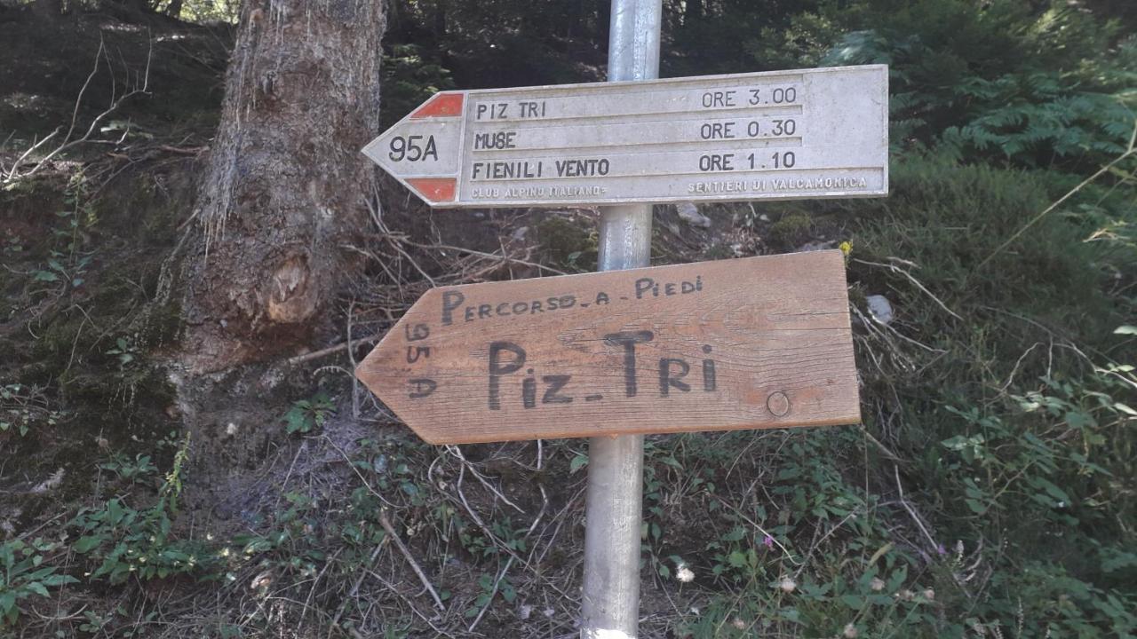 Casa Vacanza Pineta Malonno Exteriör bild