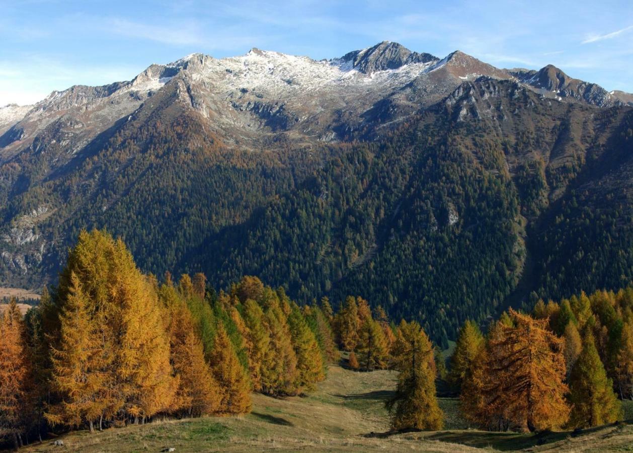 Casa Vacanza Pineta Malonno Exteriör bild