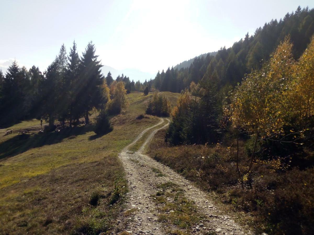 Casa Vacanza Pineta Malonno Exteriör bild