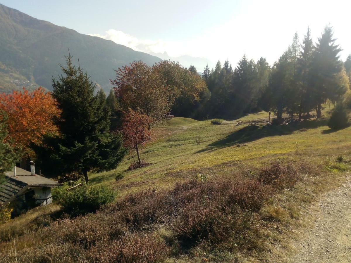 Casa Vacanza Pineta Malonno Exteriör bild